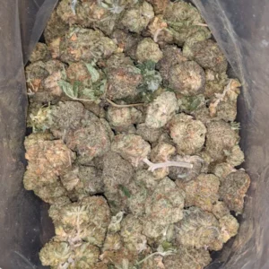 Amnesia Haze Kaufen Deutschland